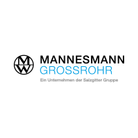 Mannesmann Tour de Tenailles 250 MM <> 10" Haute Qualité Outil Acier C60 VPA GS TUV 